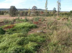 VLUU L100, M100  / Samsung L100, M100