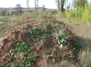 VLUU L100, M100  / Samsung L100, M100